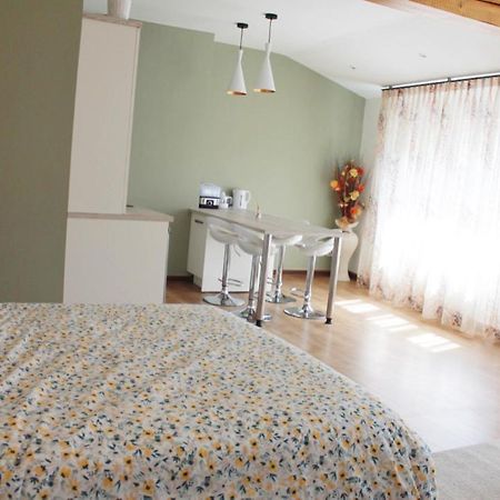 Saint Etienne : Appartement Chateaucreux 40 M2 エクステリア 写真