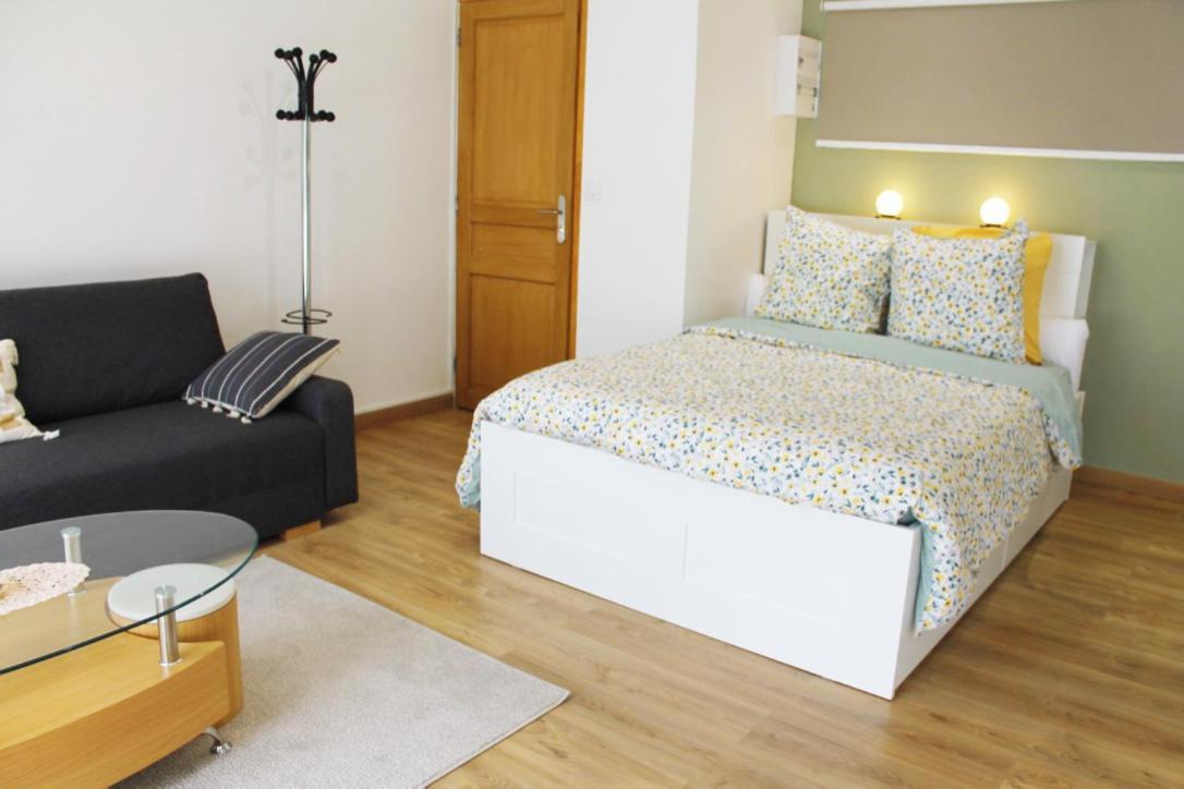 Saint Etienne : Appartement Chateaucreux 40 M2 エクステリア 写真