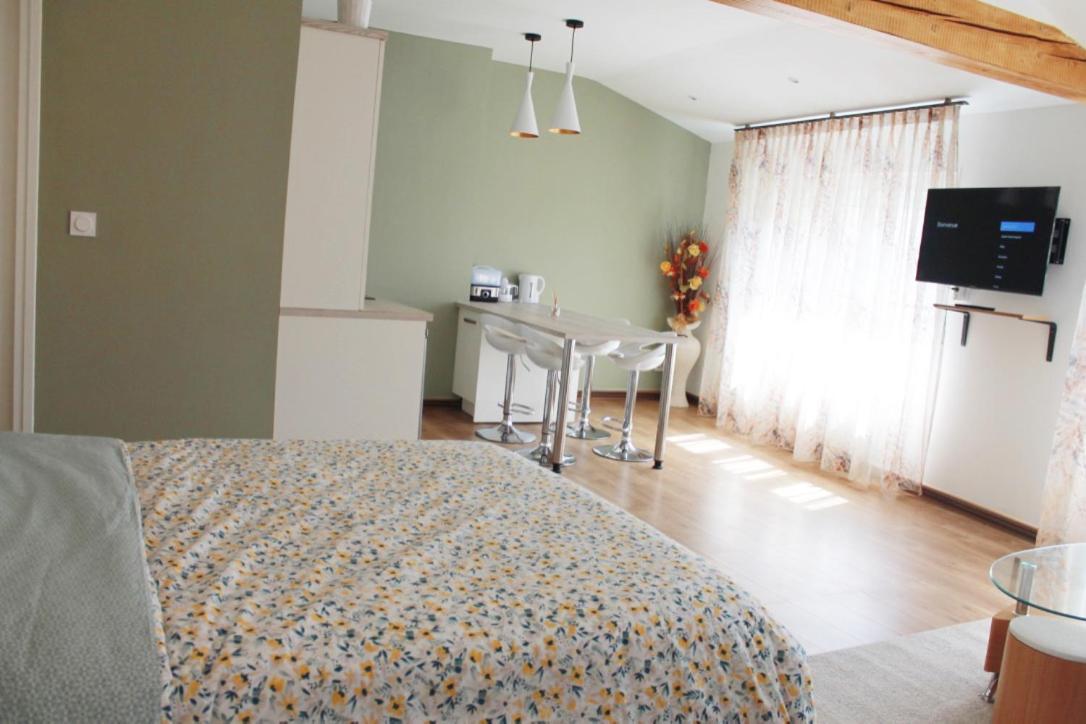 Saint Etienne : Appartement Chateaucreux 40 M2 エクステリア 写真