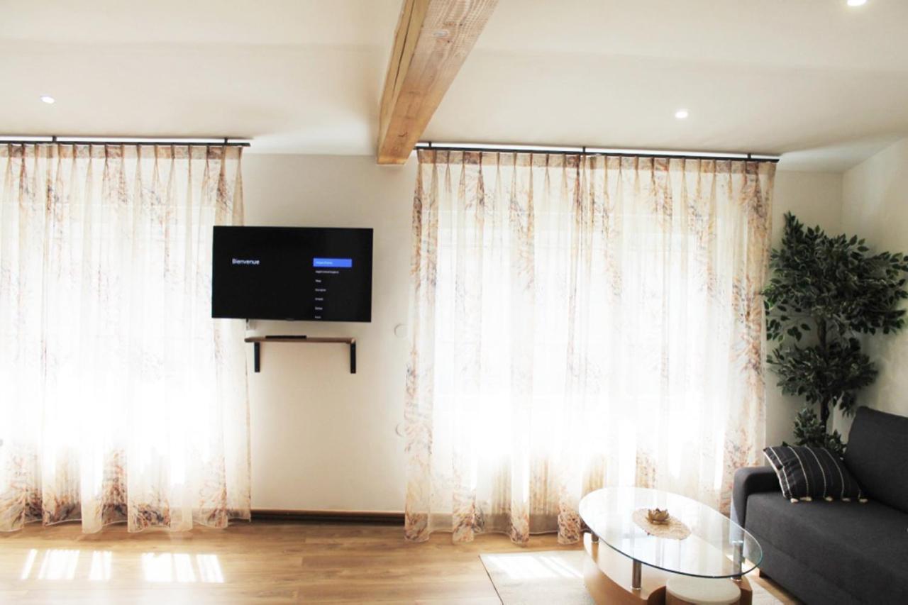 Saint Etienne : Appartement Chateaucreux 40 M2 エクステリア 写真