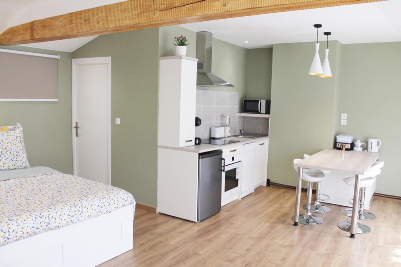 Saint Etienne : Appartement Chateaucreux 40 M2 エクステリア 写真
