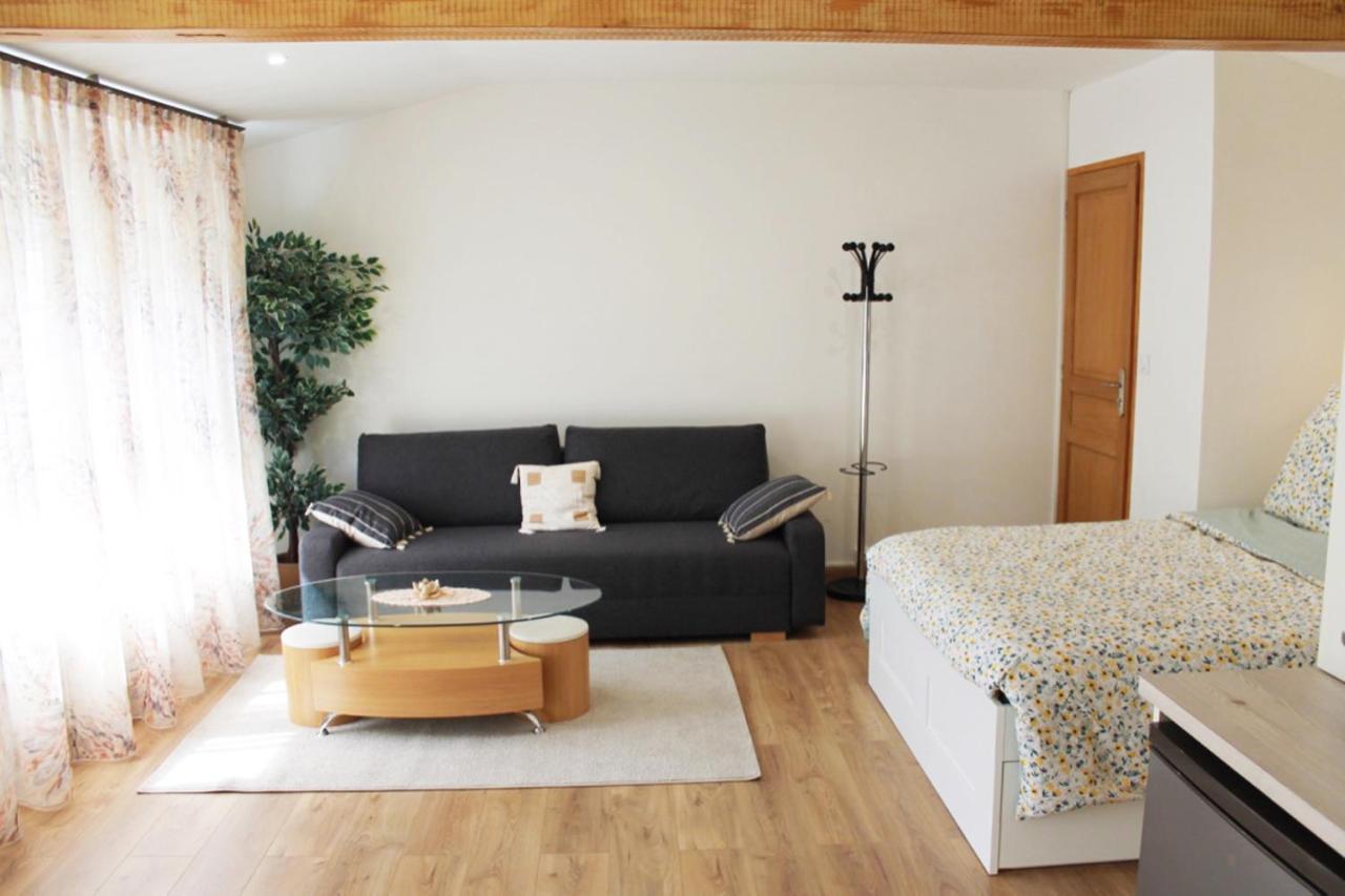 Saint Etienne : Appartement Chateaucreux 40 M2 エクステリア 写真