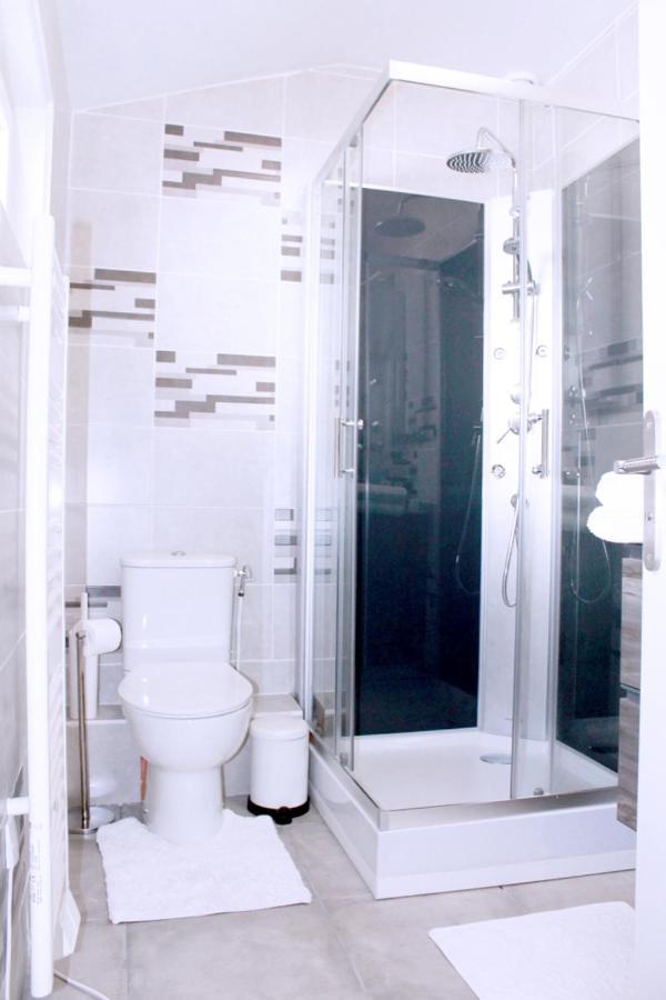 Saint Etienne : Appartement Chateaucreux 40 M2 エクステリア 写真